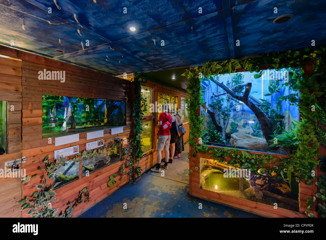 Nocturnal house zoo animal hi-res stock photography and images - Alamy Nocturnal house zoo animal hi-res stock photography and images - Alamy