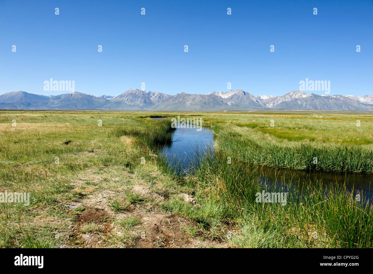Owens River at Benton Crossing, California, USA Stock Photo Alamy