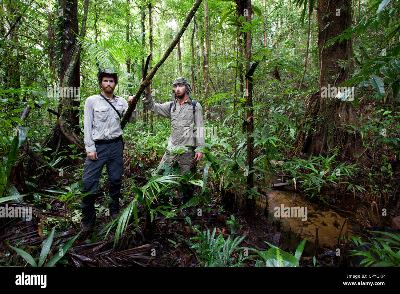 Amazon rainforest brazil deforestation hires stock photography and