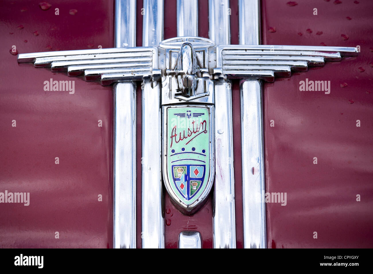 Badge Logo of Austin Atlantic A90 car at classic car rally at Brize Norton in Oxfordshire, UK Stock Photo