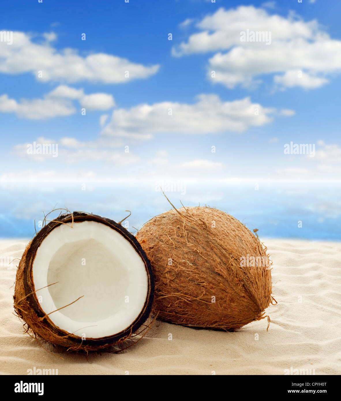 Coconut details on the beach against blue sky and sea Stock Photo