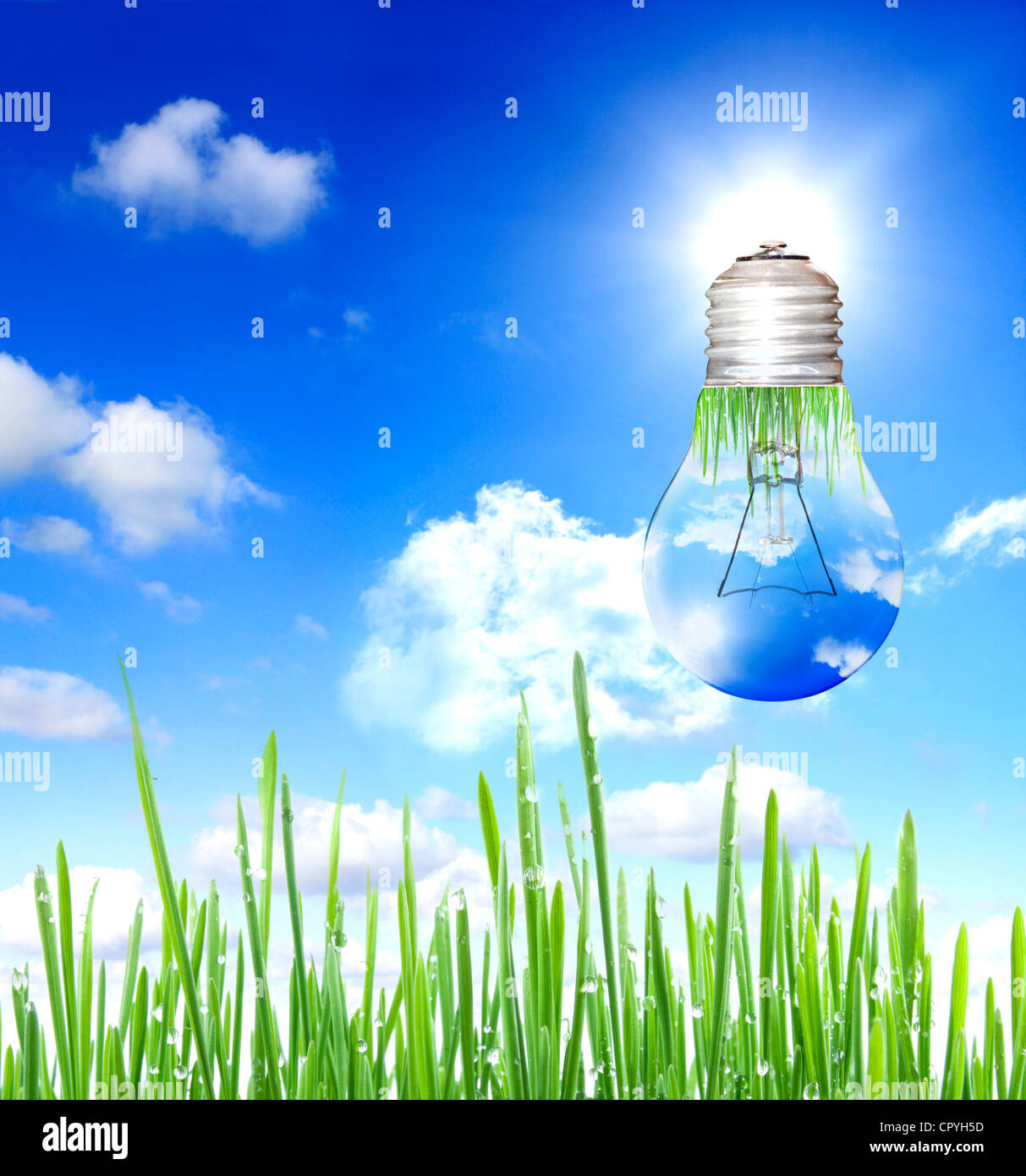 Concept of Eco energy in the bulb Stock Photo