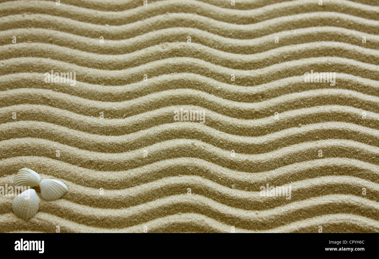Sand and shell background Stock Photo