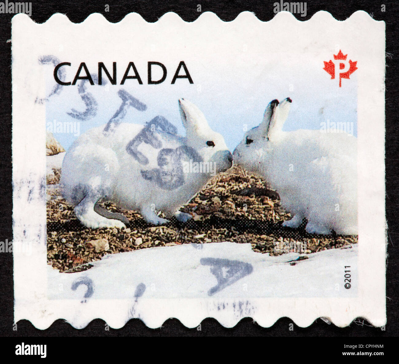 Canadian postage stamp Stock Photo Alamy