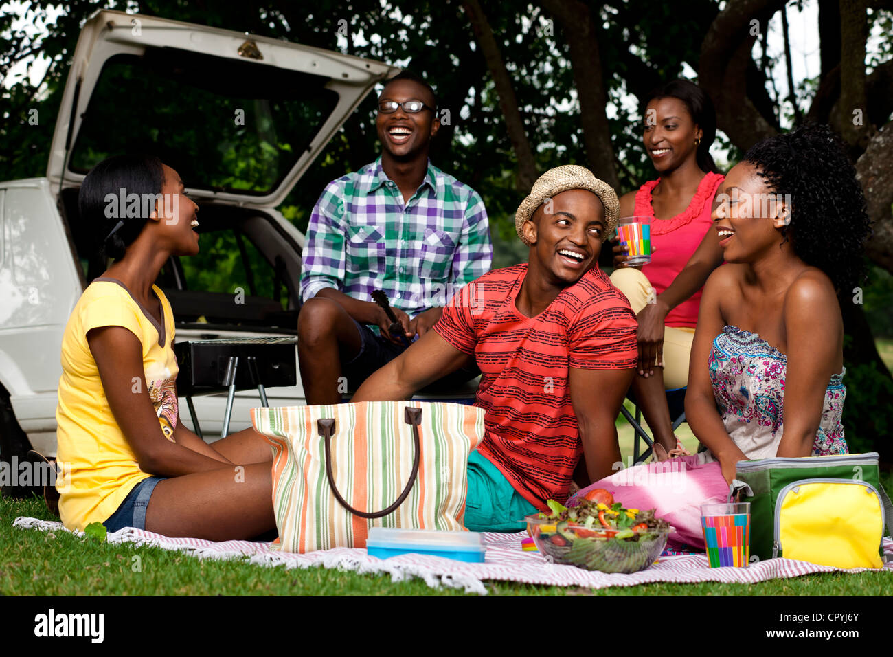 5 young black adults have a picnic in a park Stock Photo Alamy