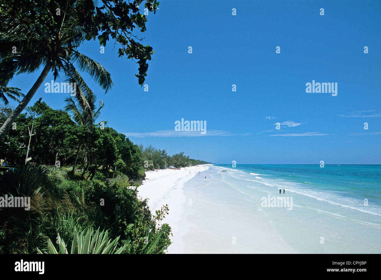 Kenya, Coastal Kenya, Indian Ocean, Diani Beach located 30 km south of Mombasa Stock Photo