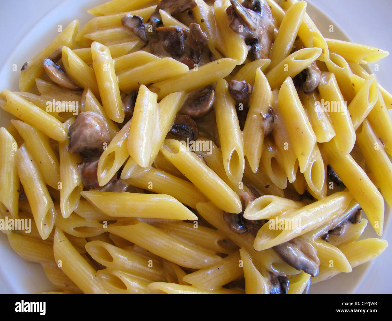 Penne Pasta cylinder-shaped pieces with mushroom Stock Photo