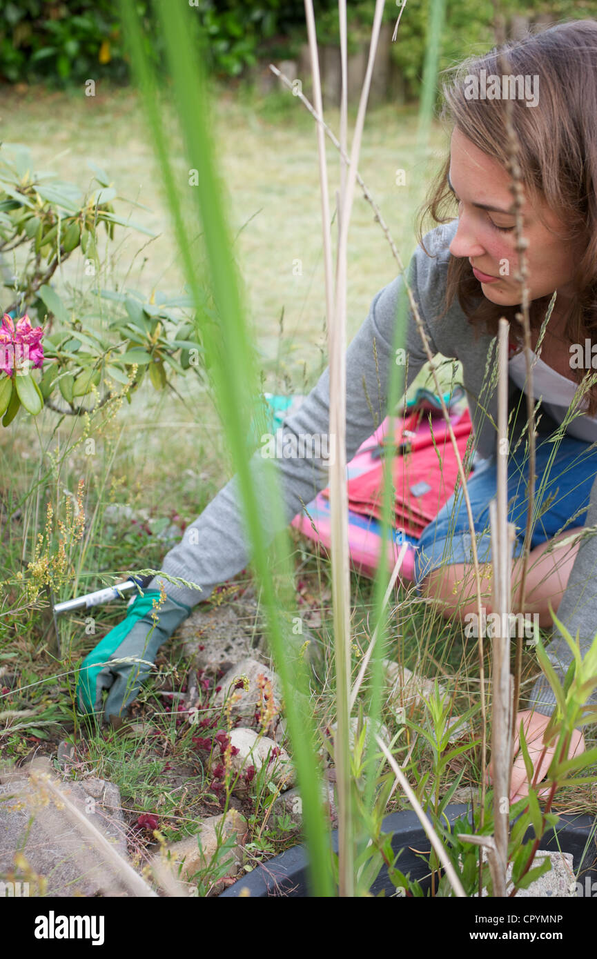 woman is doing the garden Stock Photo