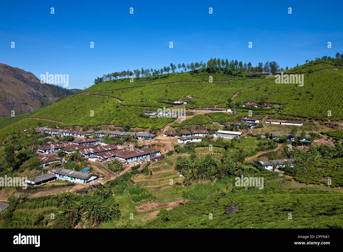 India, Kerala State, Munnar, a village among the tea plantations Stock ...