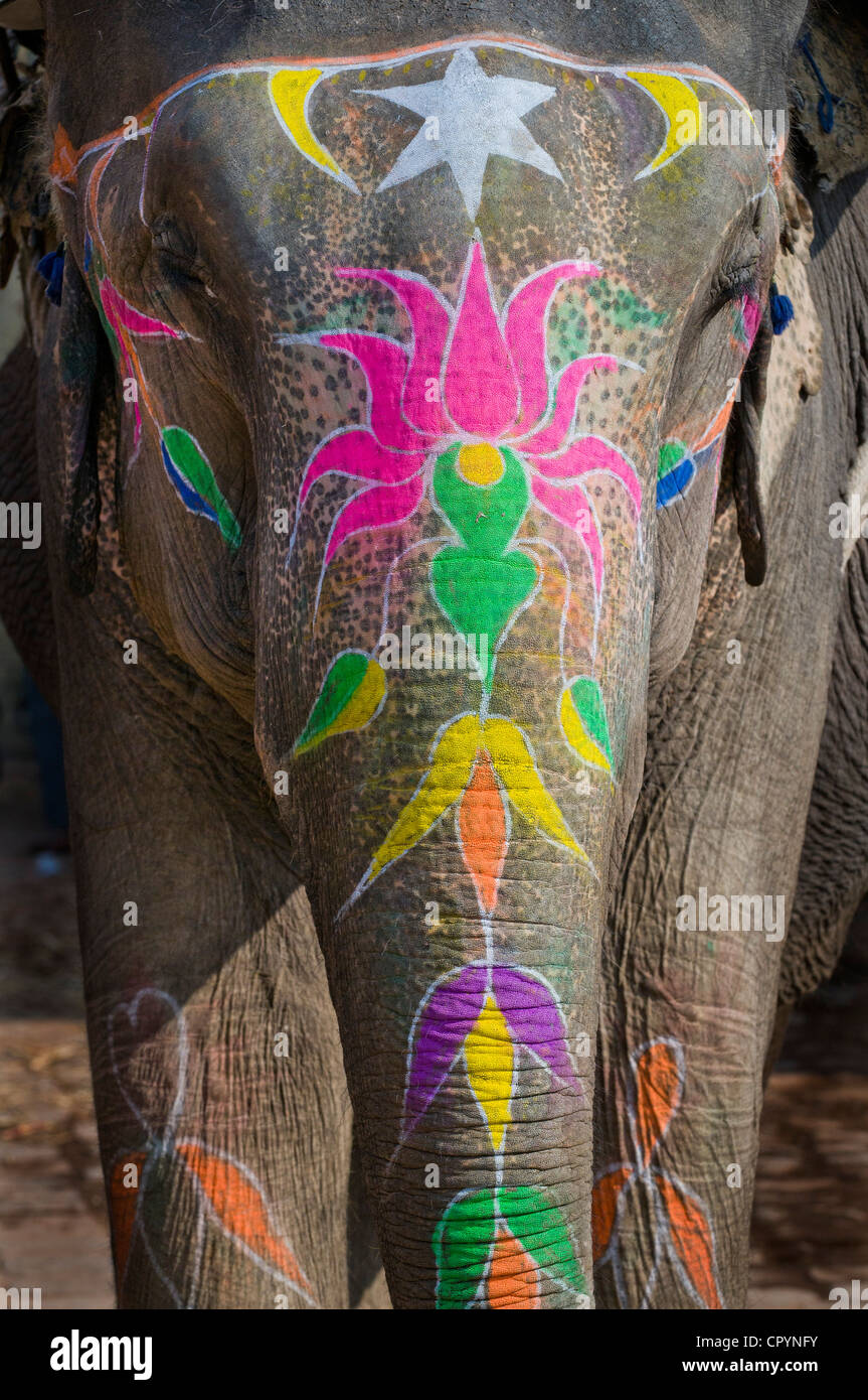 Painted Elephant, Amber Fort, Jaipur, Rajasthan, India, Asia Stock Photo