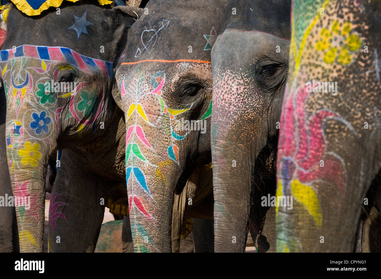 Painted Elephants, Amber Fort, Jaipur, Rajasthan, India, Asia Stock Photo