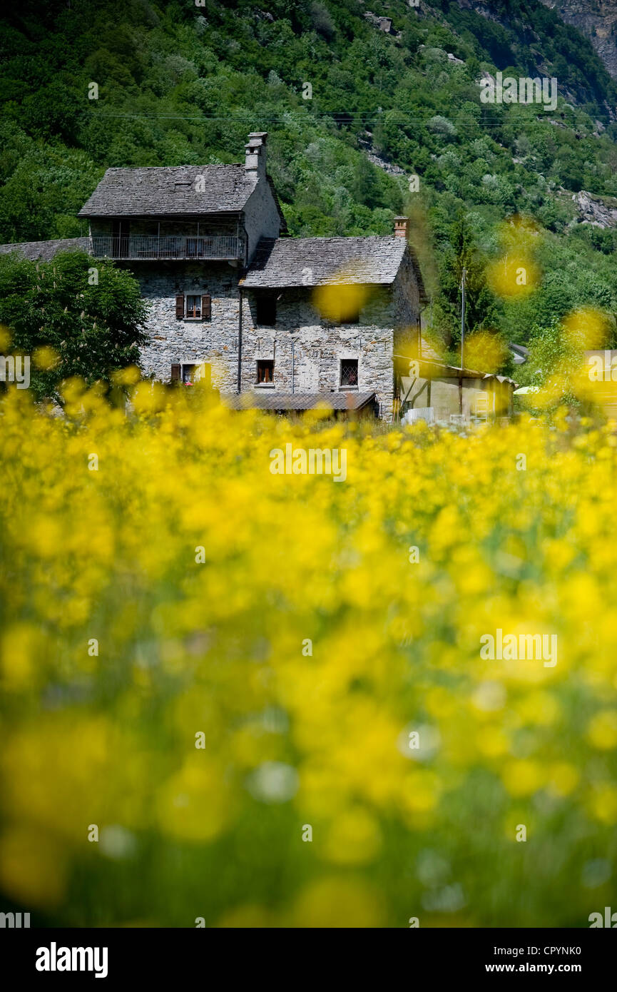 House in Sonogno, Valle Verzasca valley, canton Ticino, Switzerland, Europe Stock Photo