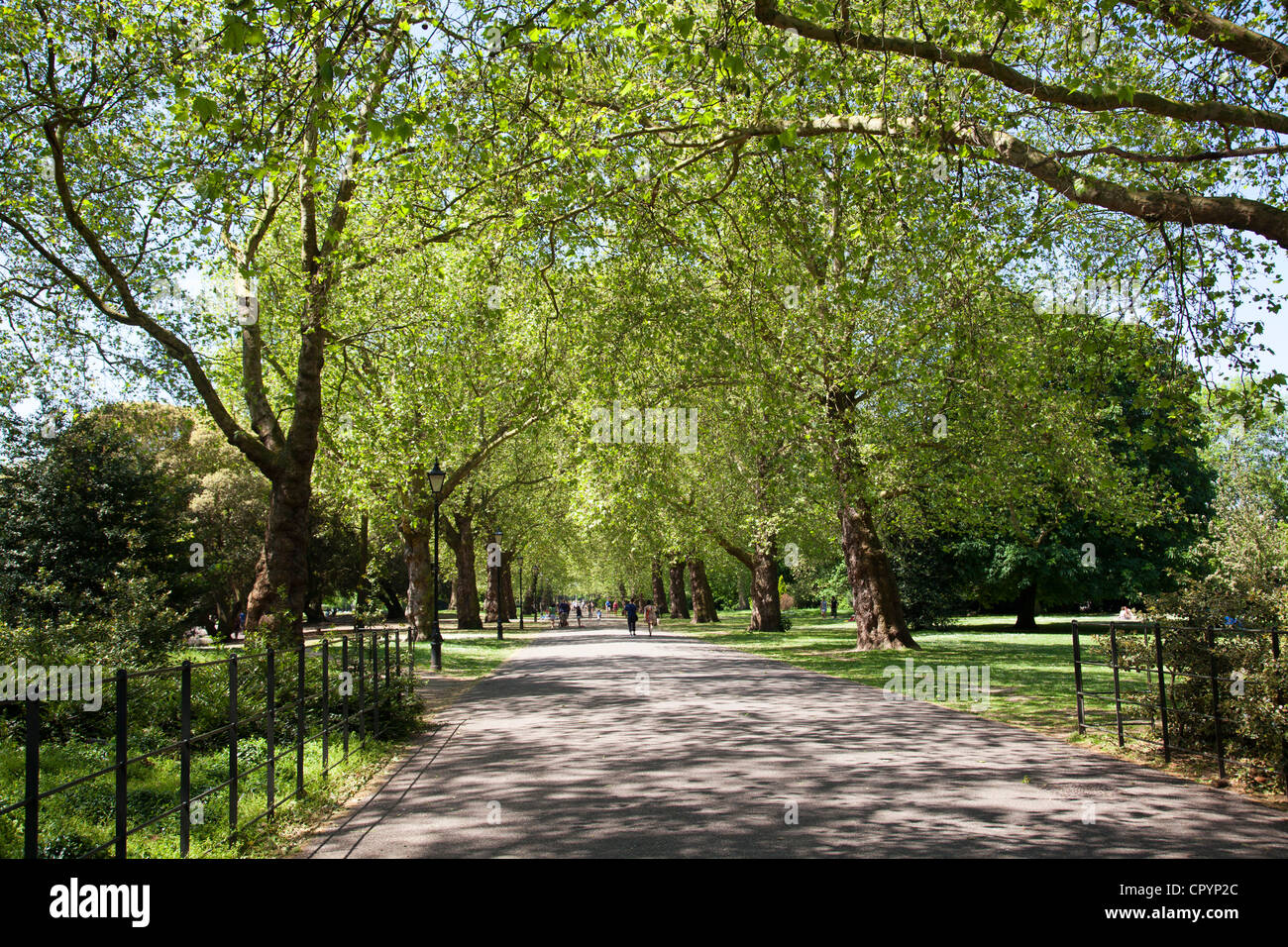Battersea Park in London Stock Photo Alamy
