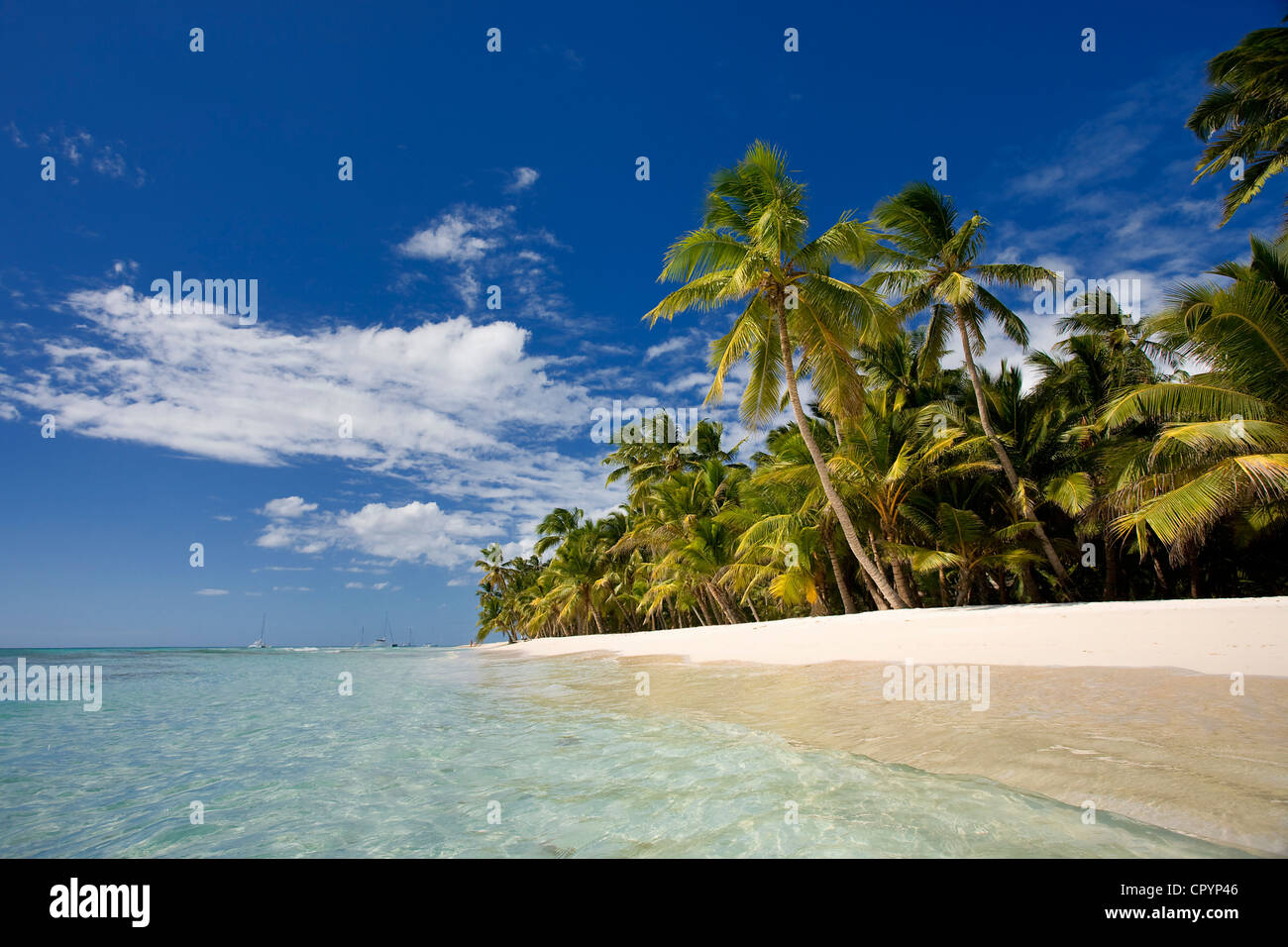 Dominican Republic, La Altagracia Province, Del Este National Park ...