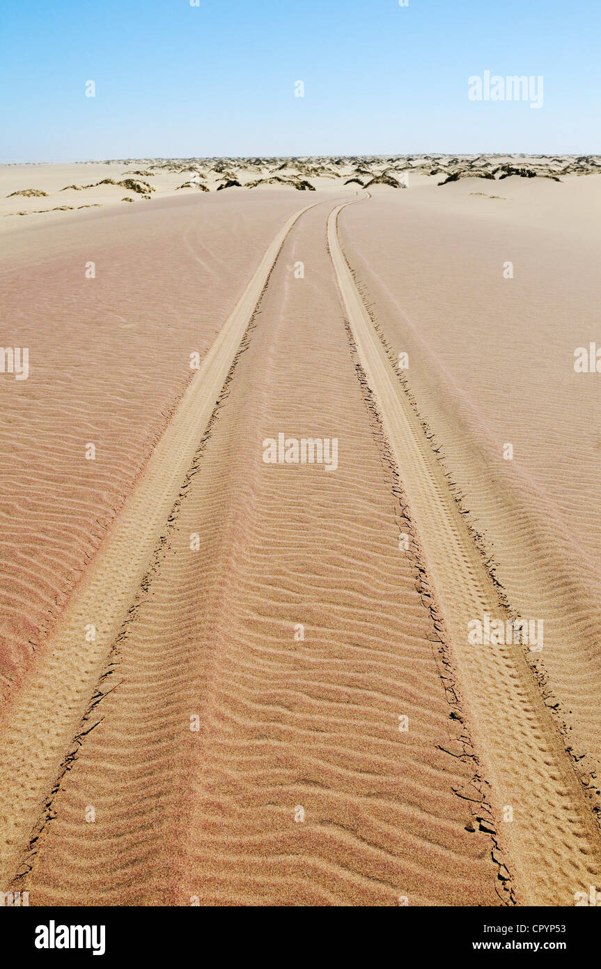 Tire tracks in the sand,  National Park, part of the Namibian Skeleton Coast National Park, Skeleton Coast, Namib Desert Stock Photo