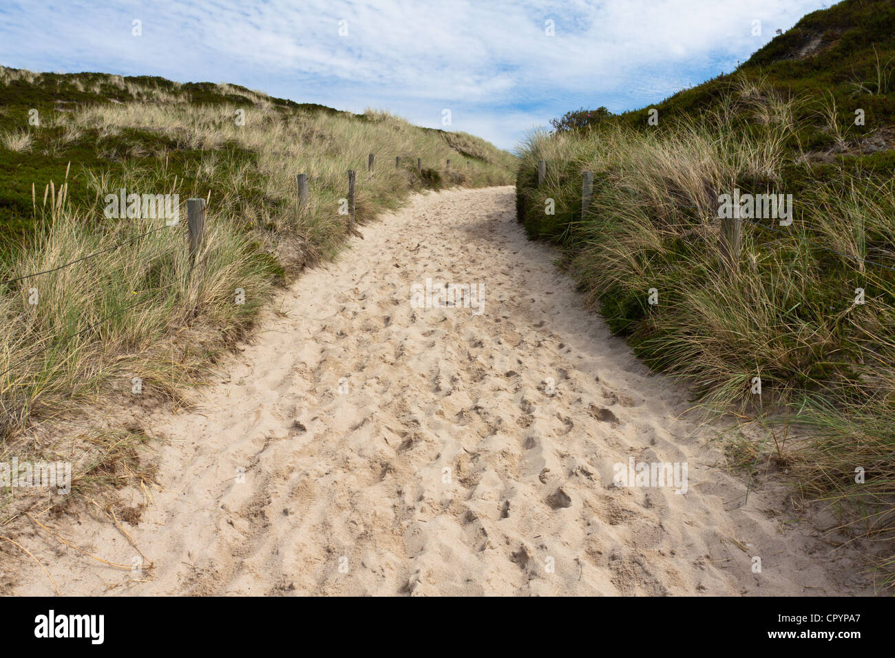 Way to the beach flanked with beach grass, Sylt, North Frisia, Schleswig-Holstein, Germany, Europe, PublicGround Stock Photo