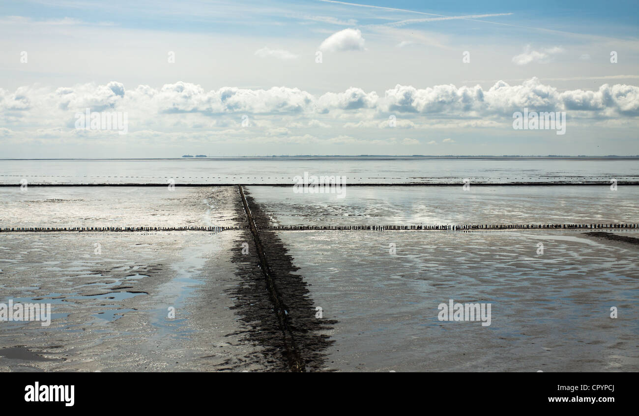 Land reclamation on the North Sea by groynes and fascines, North Frisia, Schleswig-Holstein, Germany, Europe, PublicGround Stock Photo