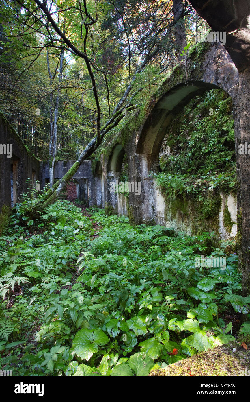 Commando Austriaco, ruined shelter of World War I, Folgaria, province of Trentino, Italy, Europe Stock Photo