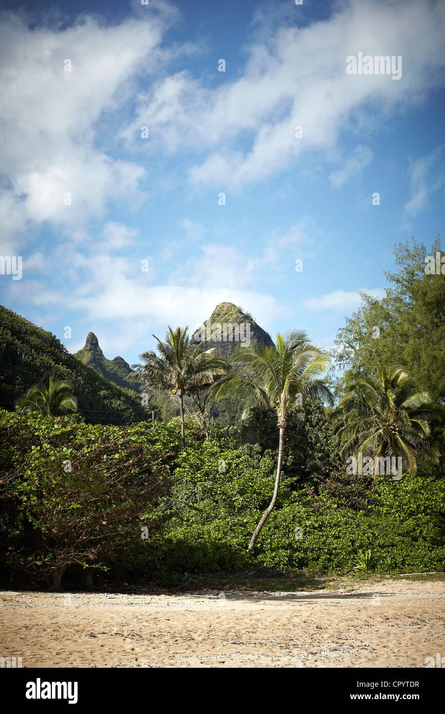 Tunnels Beach, Ha'ena State Park, Kauai, Hawaii, USA Stock Photo Alamy
