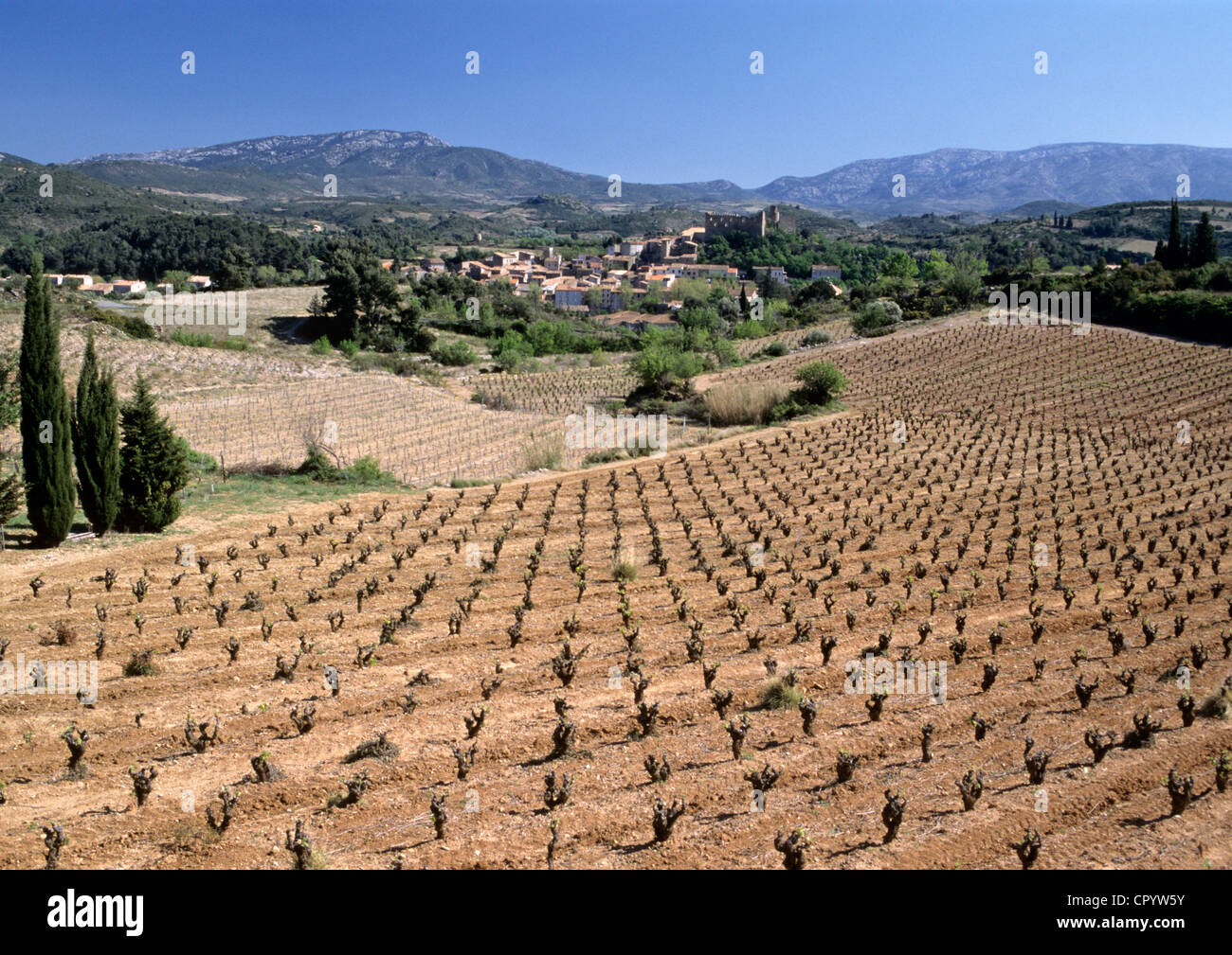 France, Aude, Durban Corbieres, vineyards in the Corbieres area Stock