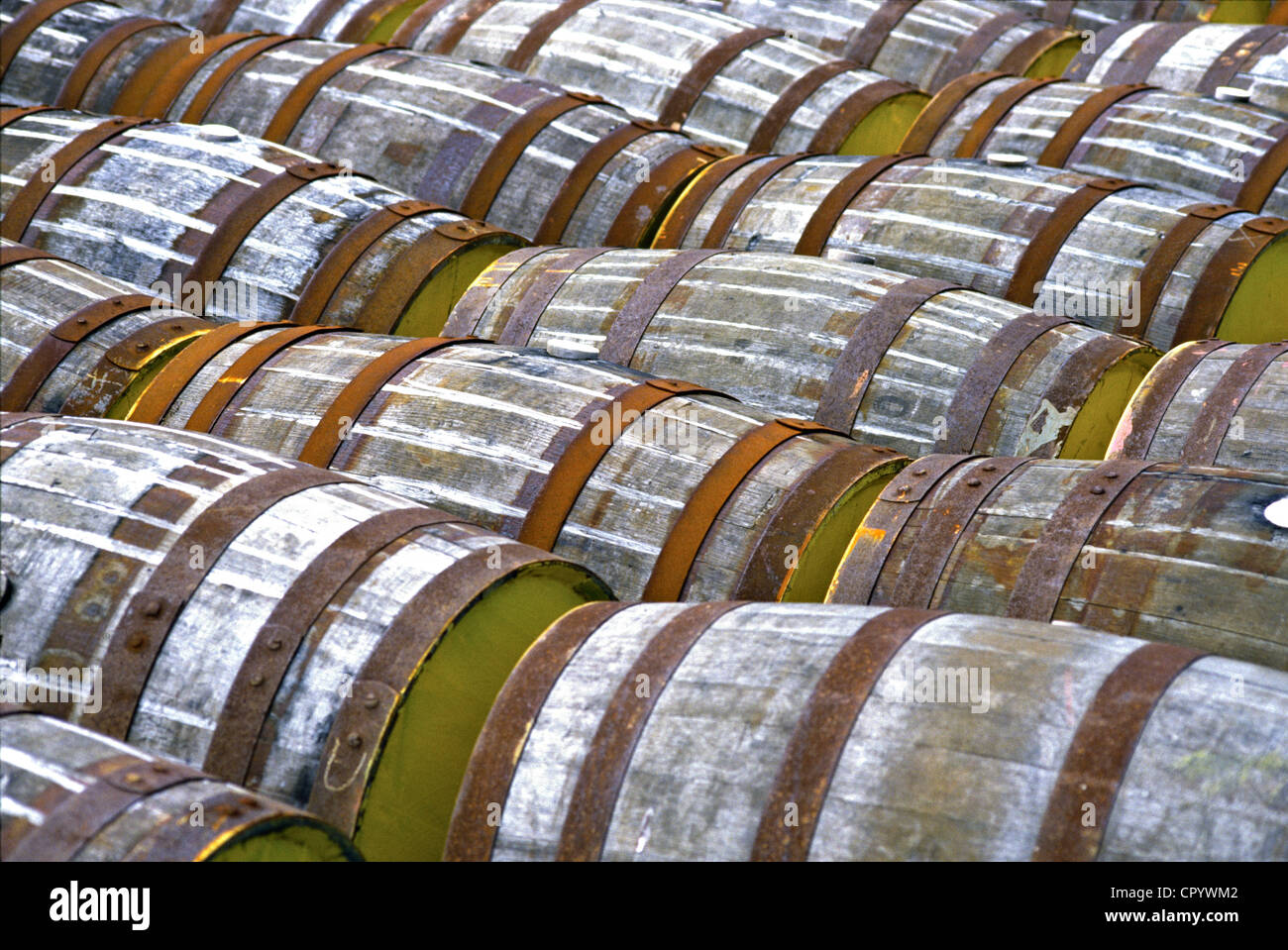 Empty barrels outside at whiskey distillery in Scotland Stock Photo