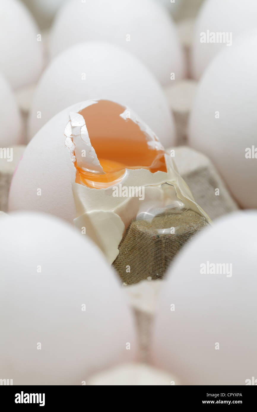 A broken egg among whole eggs in an egg carton Stock Photo Alamy