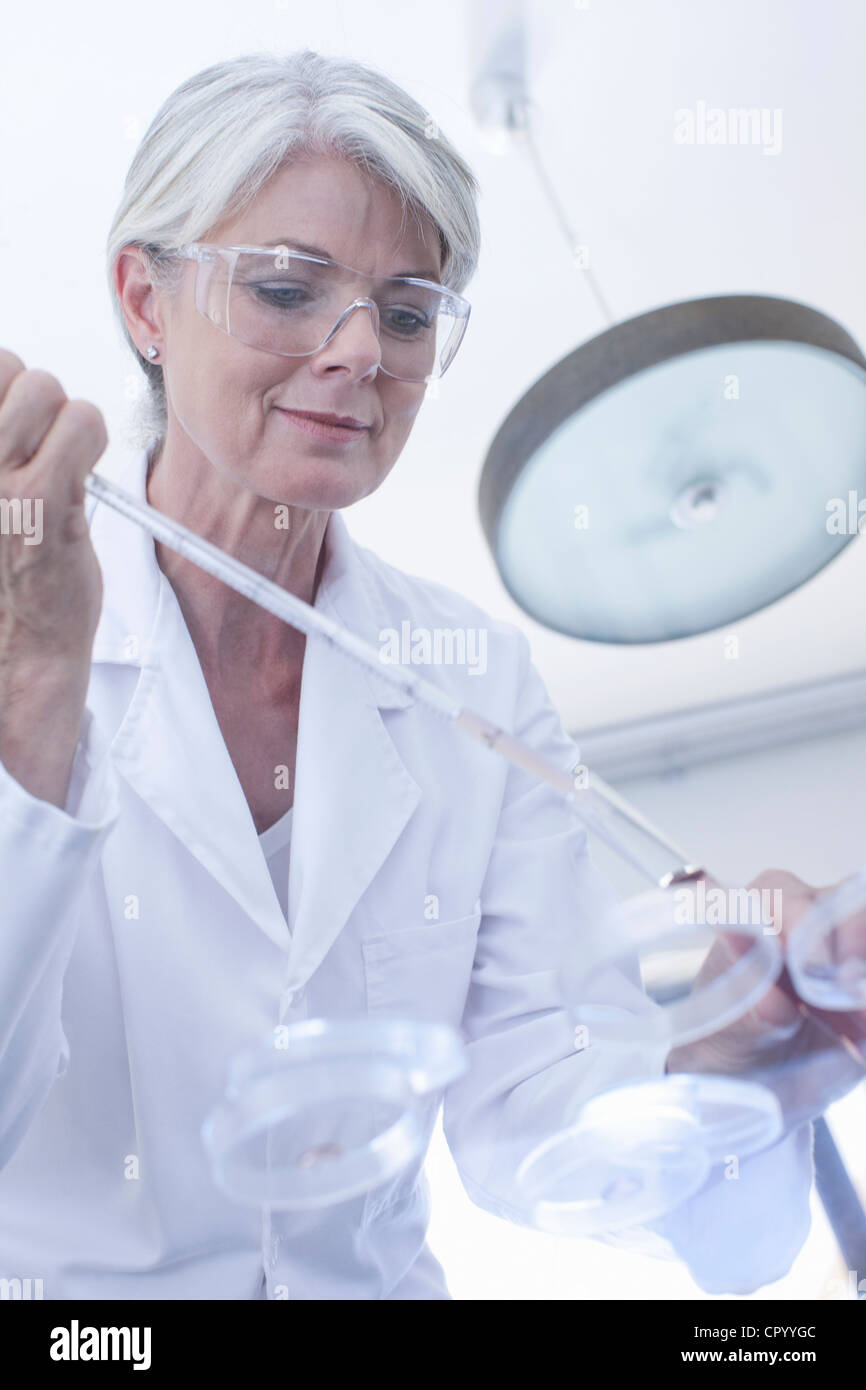 Scientist injecting liquid in petri dish Stock Photo