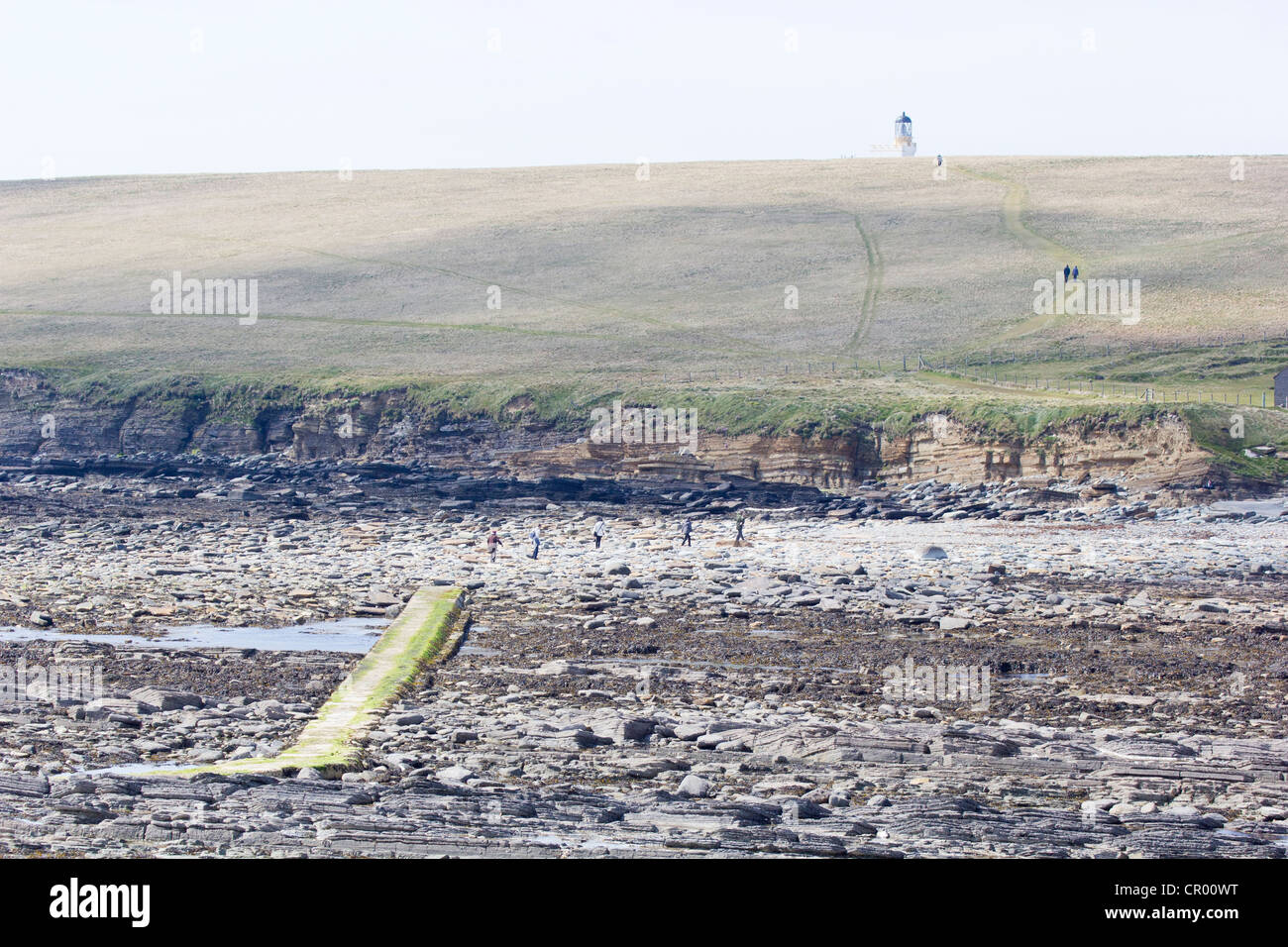 The brough of Birsay on the Orkney causeway and low tide Stock Photo