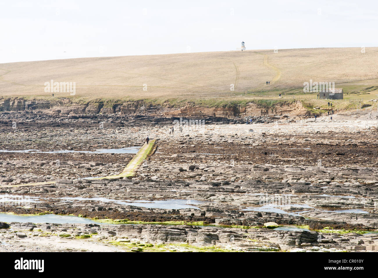 The brough of Birsay on the Orkney - causeway and low tide Stock Photo ...