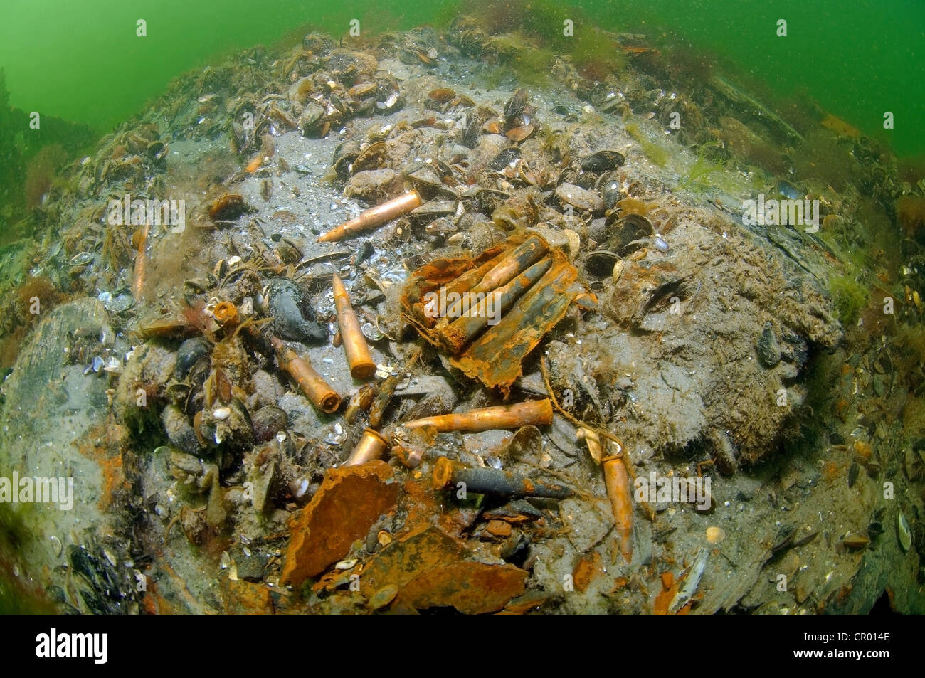 Ammunition, cartridges, bullets, underwater wreck, mine trawler 'Collective farmer', Black Sea, Ukraine, Europe Stock Photo