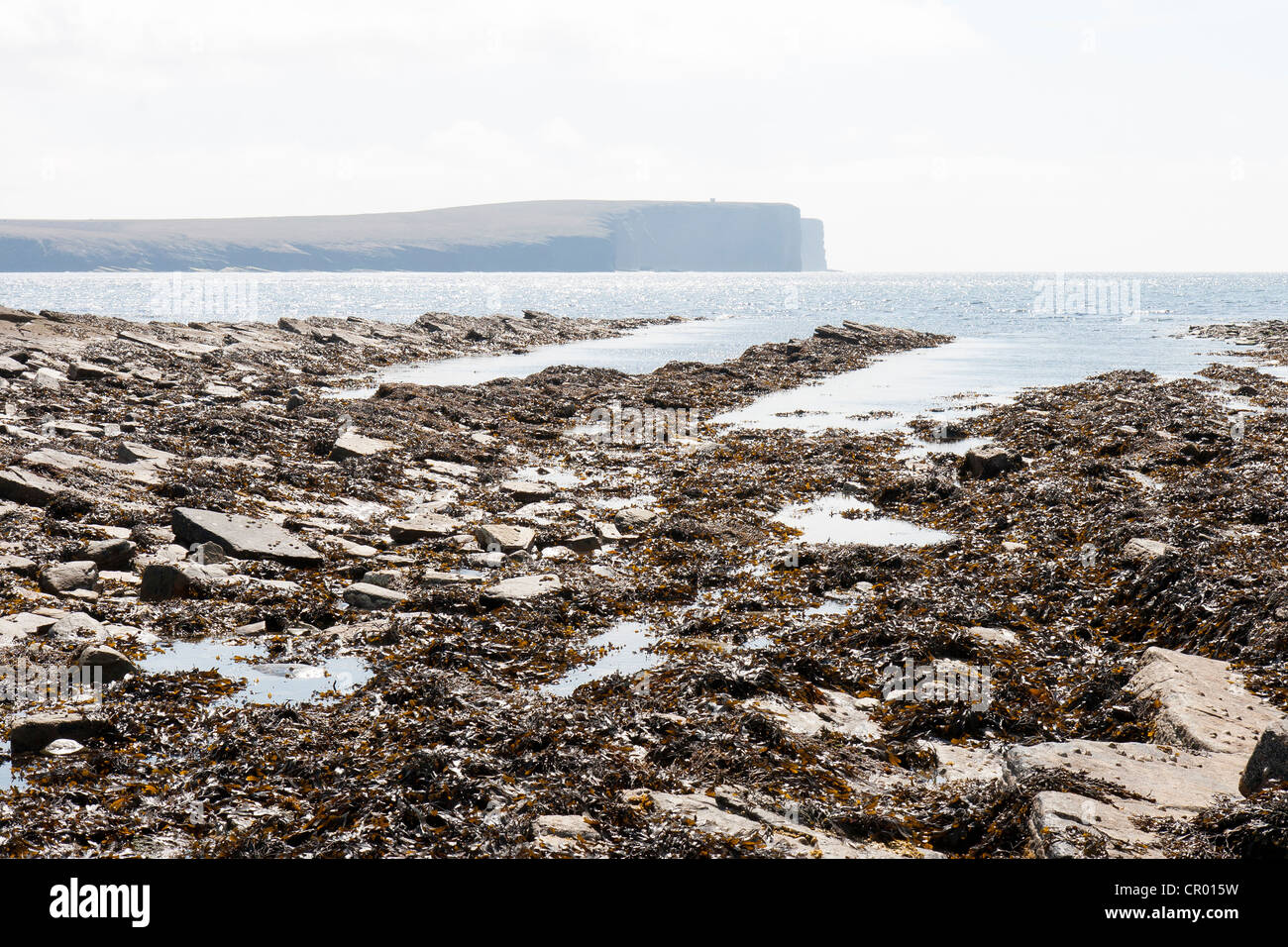 The brough of Birsay on the Orkney Stock Photo