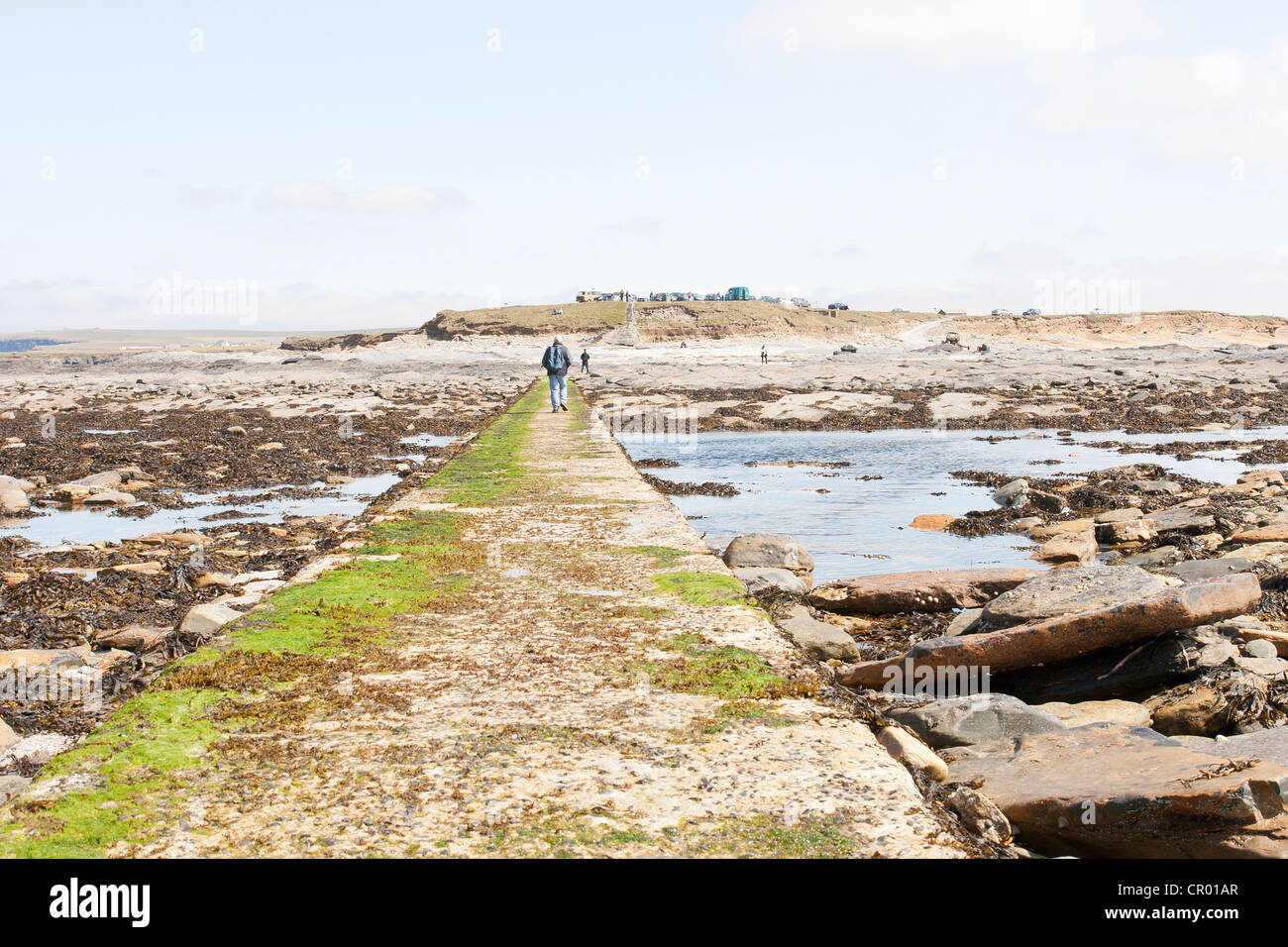 The brough of Birsay on the Orkney causeway and low tide Stock Photo