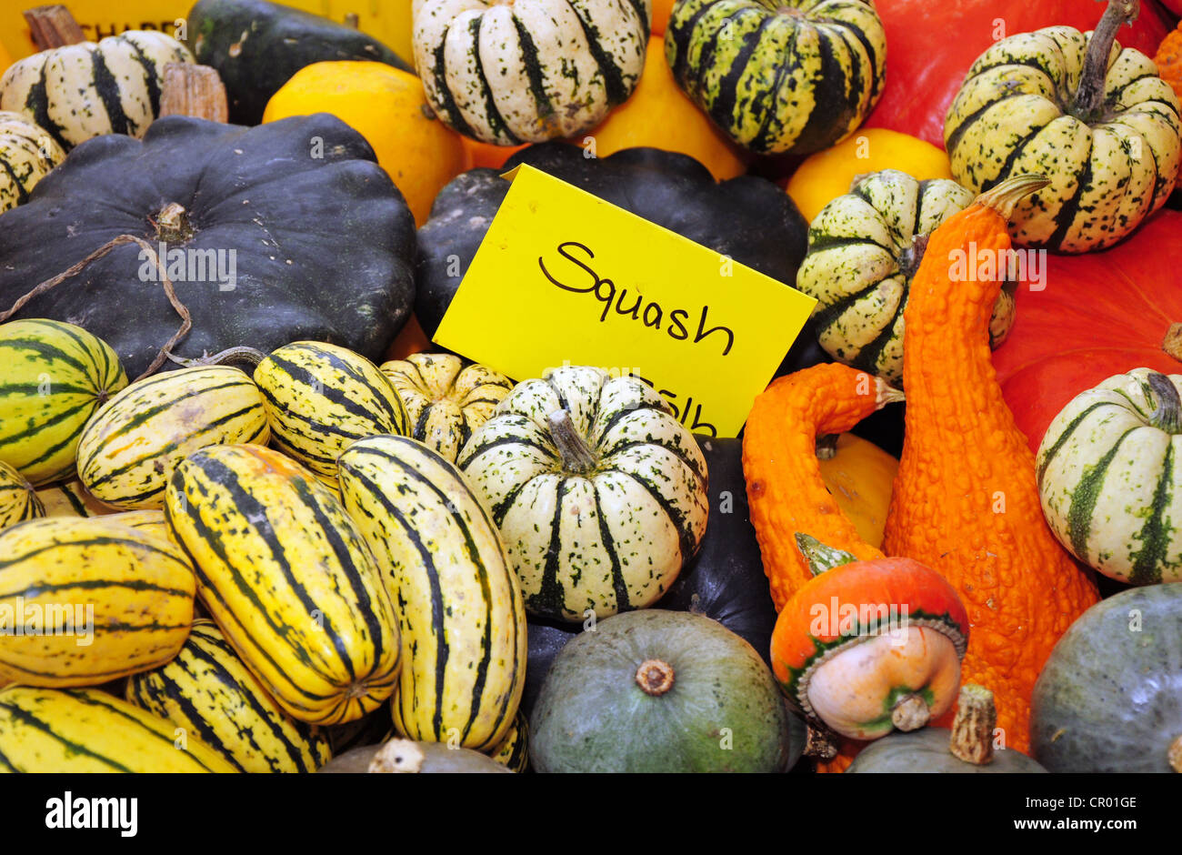 Colorful gourds and squash at market Stock Photo Alamy