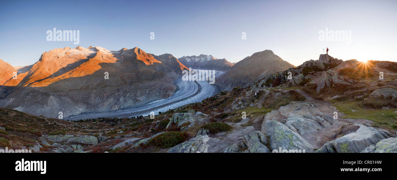 Aletsch Glacier at first morning light with photographer, from Moosfluh, Riederalp, Valais, Switzerland, Europe Stock Photo