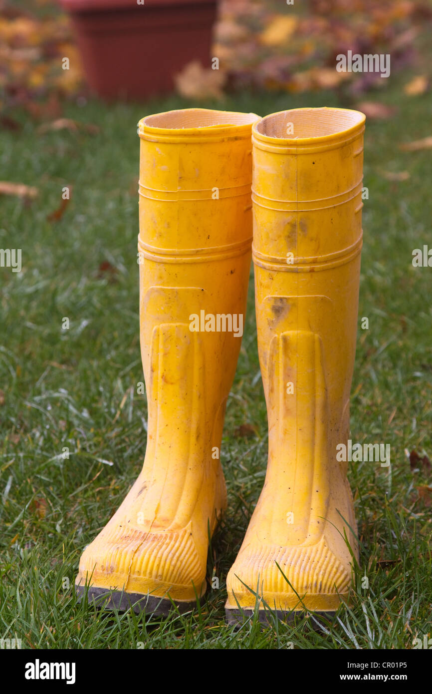 Pair of yellow rubber boots in the garden Stock Photo - Alamy