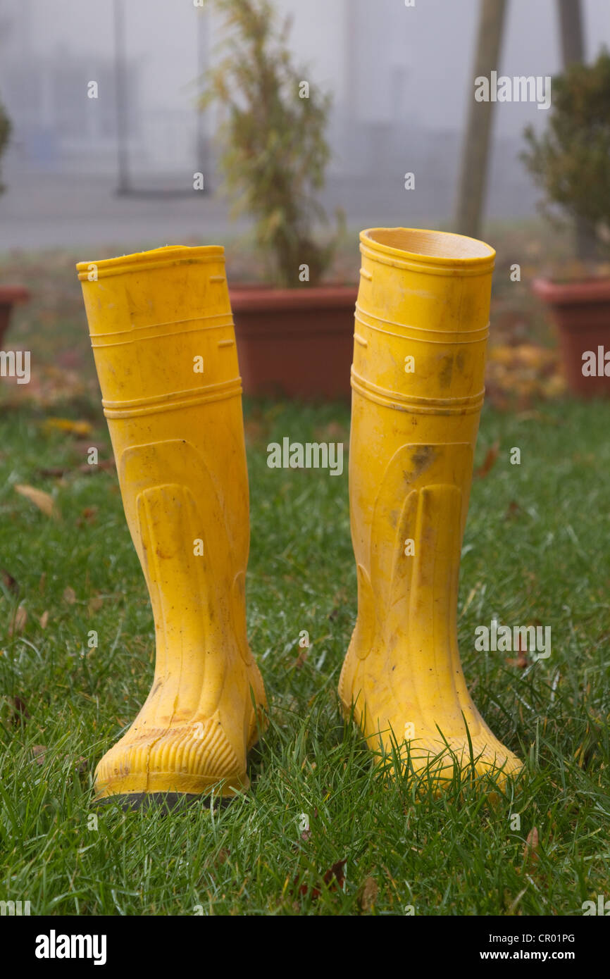 Pair of yellow rubber boots in the garden Stock Photo Alamy
