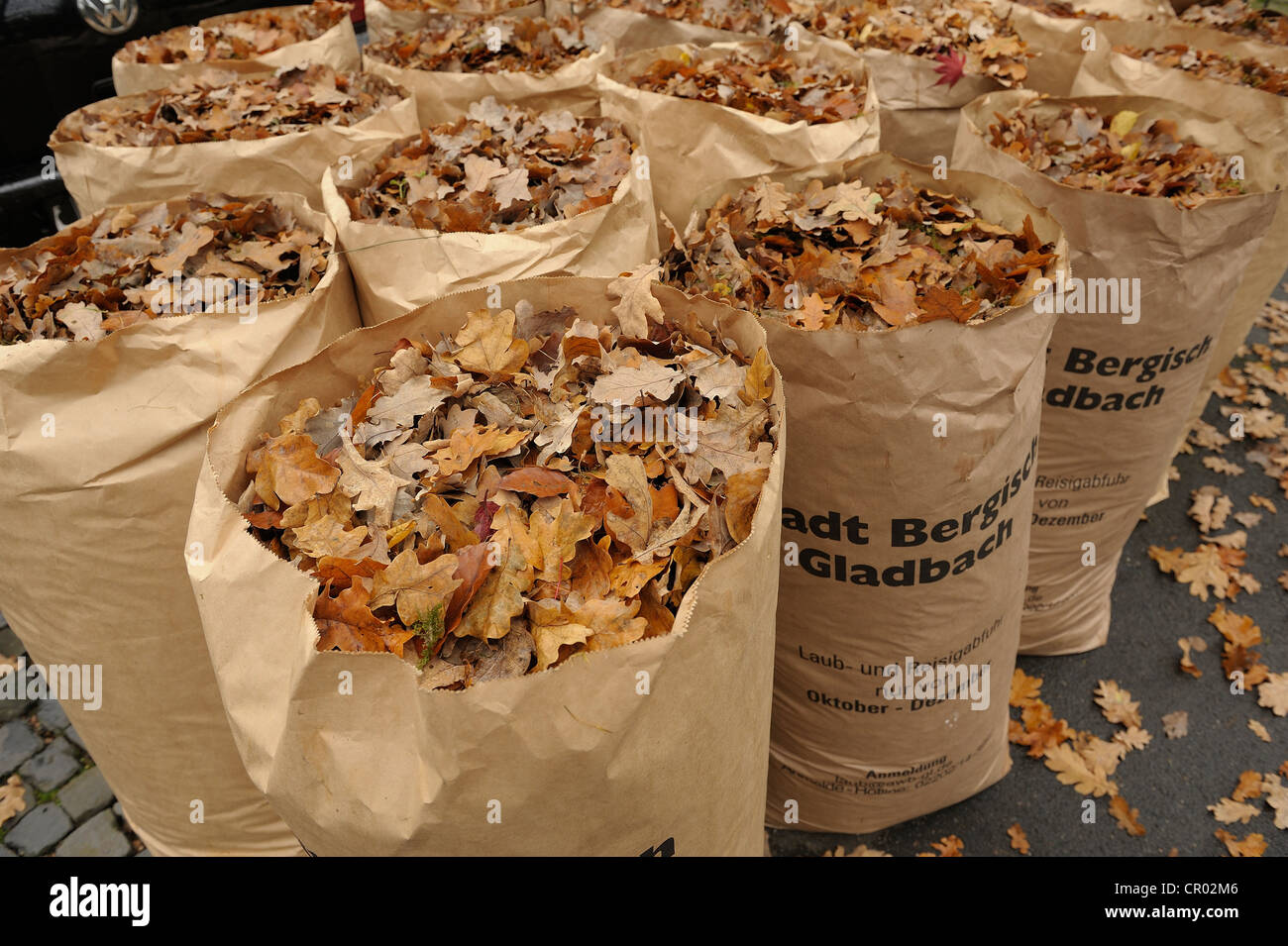 Foliage removal in sacks for households in a city, Germany, Europe Stock Photo
