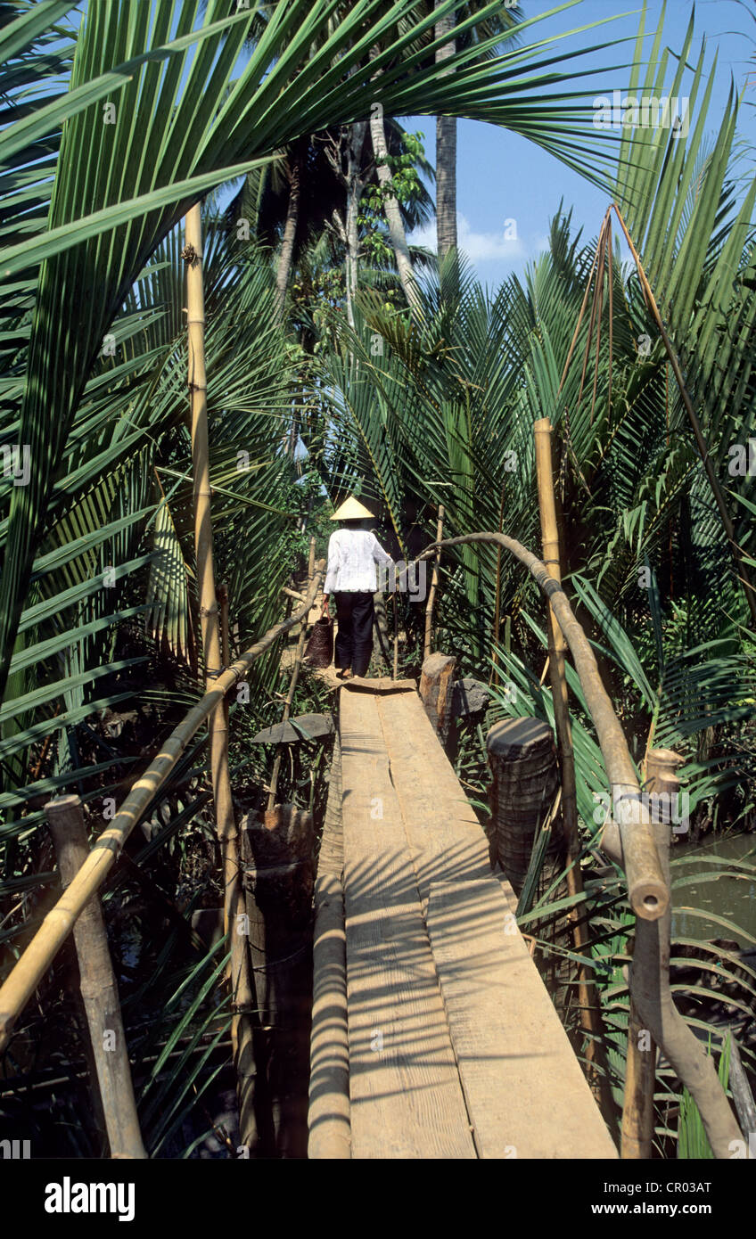 Vietnam, My Tho, tropical vegetation Stock Photo