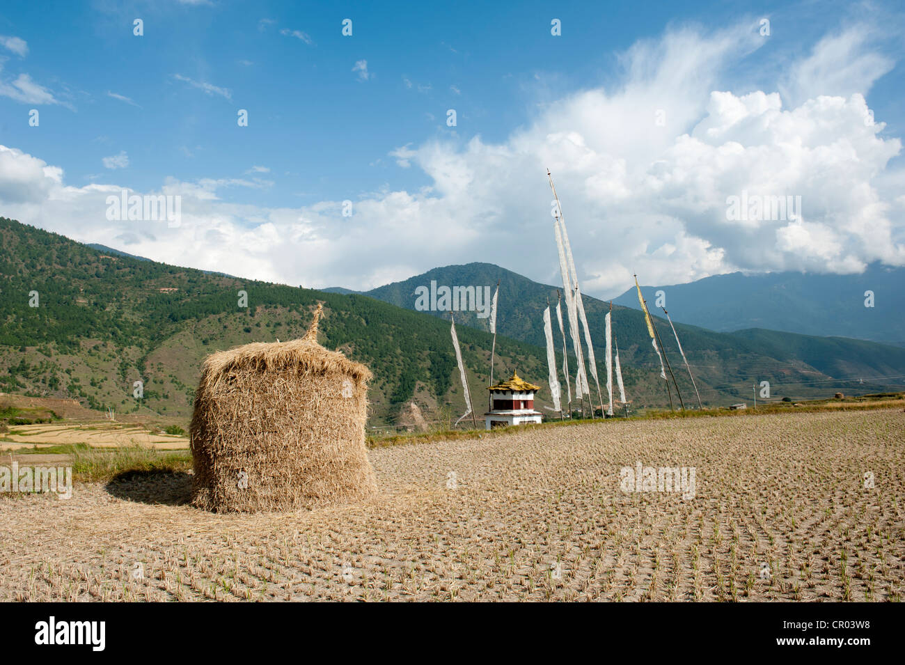 Place of pilgrimage, pile of straw, field near the Chimi Lakhang fertility temple, chorten with flags, near Punakha Stock Photo