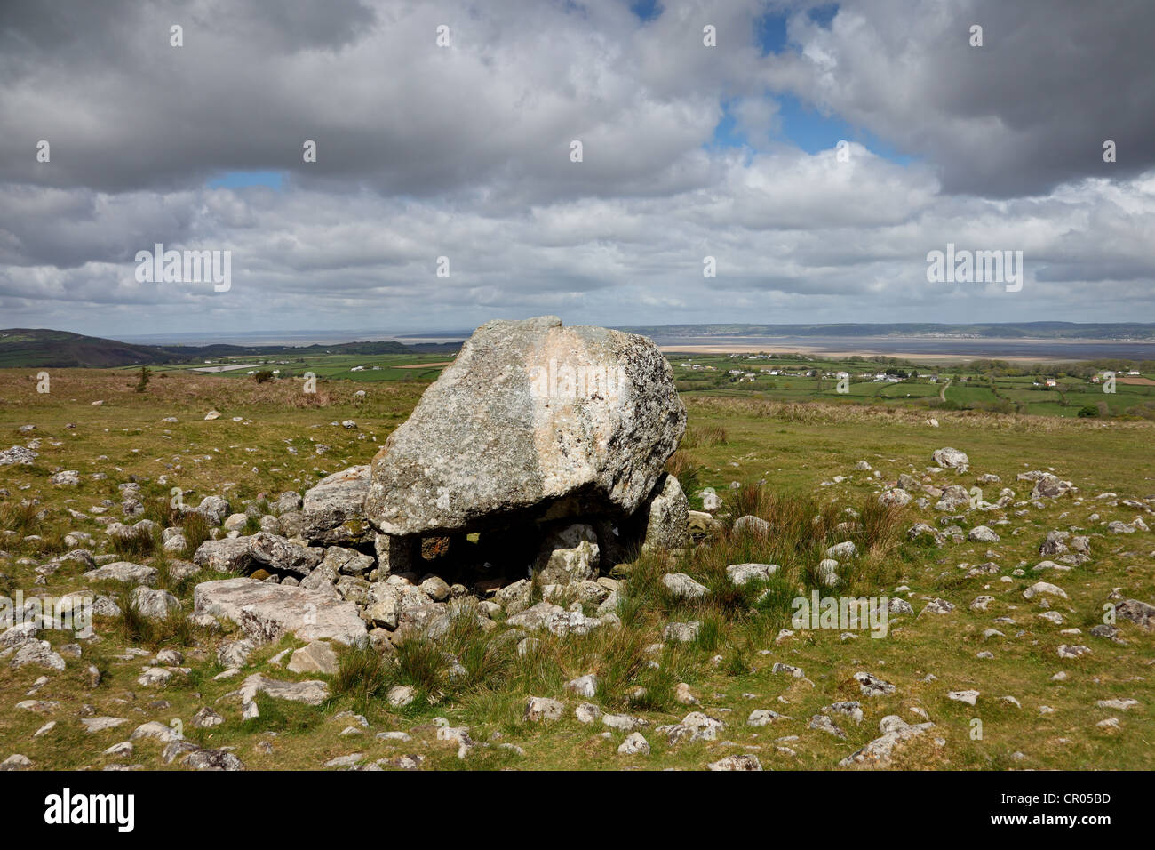 Arthur's Stone Burial Chamber Gower Wales UK Stock Photo Alamy