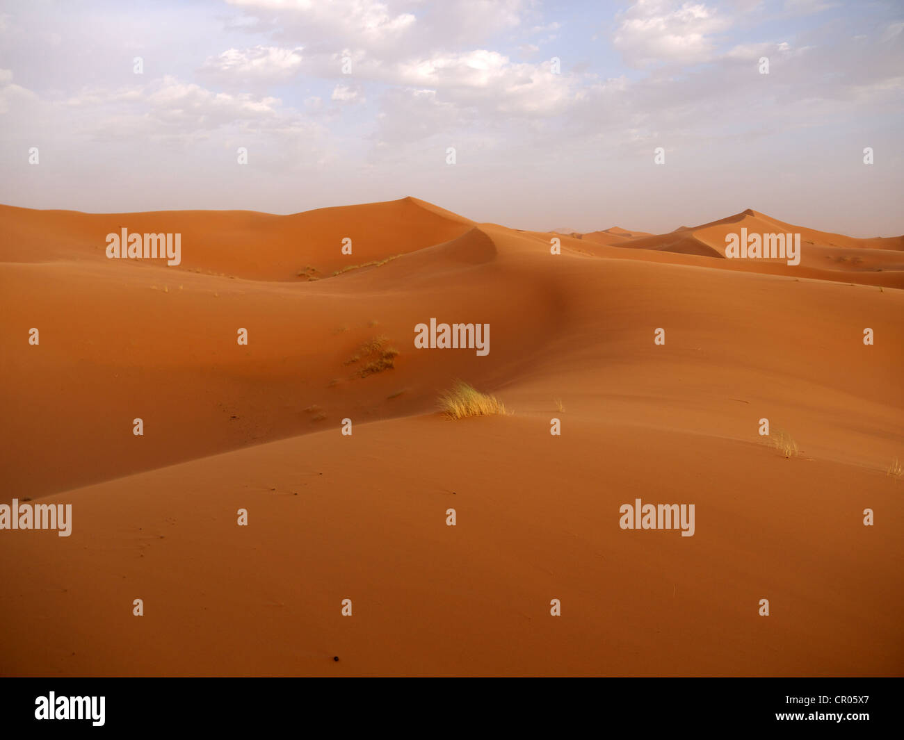 Sand dunes of the Erg Chebbi Desert, near Merzouga, Morocco, North Africa, Africa Stock Photo