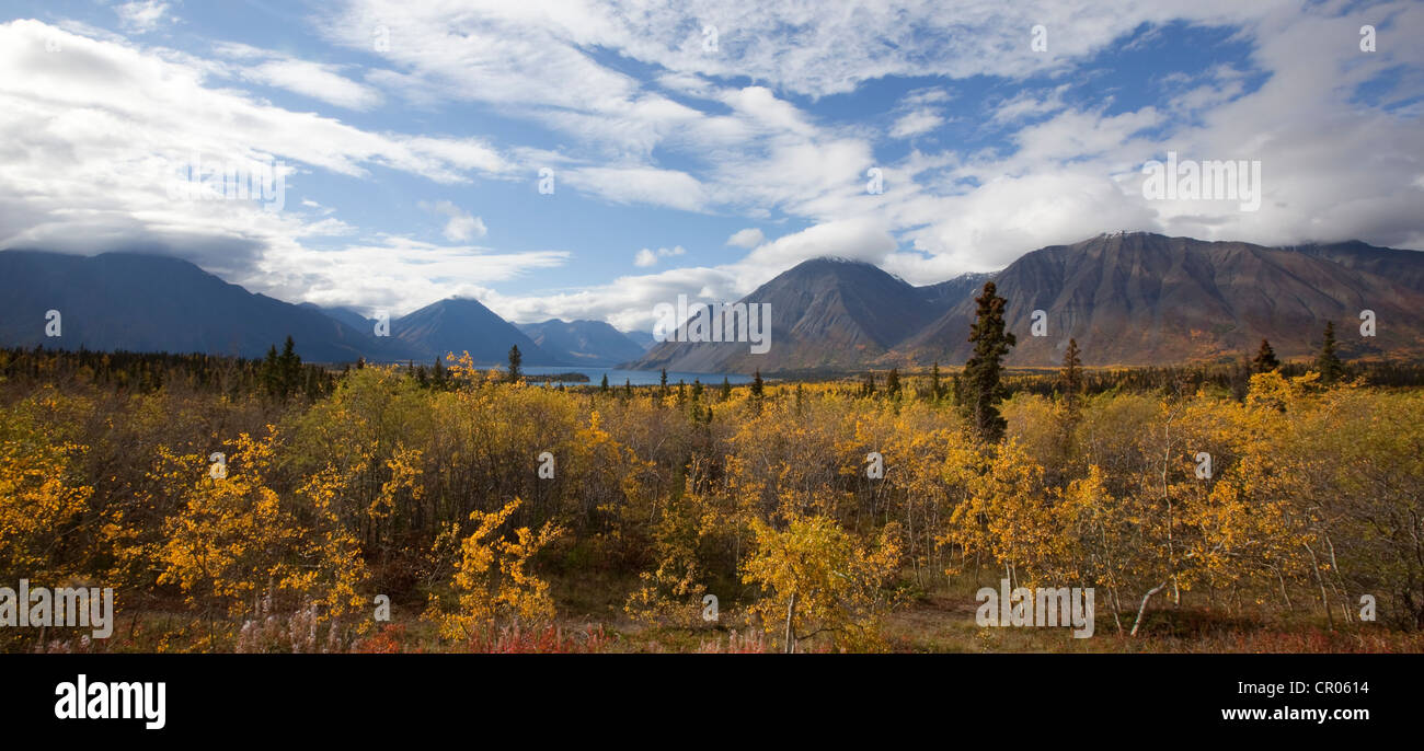 Indian Summer, fall colours, autumn, Kathleen Lake, St. Elias Mountains, Kluane National Park and Reserve, Yukon Territory Stock Photo