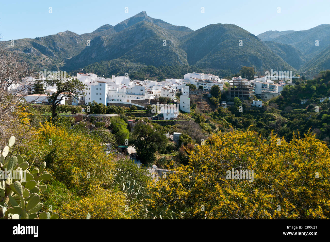 Istán, a typical pueblo blanco  or white village in Andalucia, Spain Stock Photo
