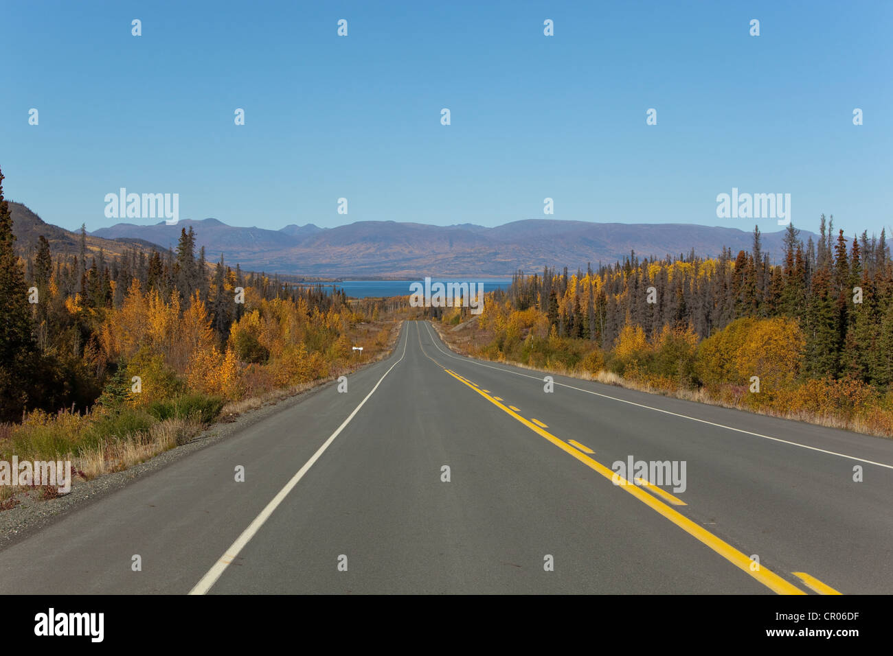 Haines Road towards Haines Pass, Alaska, Dezadeash Lake behind, Indian Summer, leaves in fall colours, autumn Stock Photo