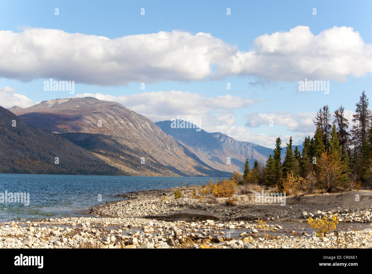 Kusawa Lake, mountains behind, Indian summer, leaves in fall colours, autumn, Yukon Territory, Canada Stock Photo
