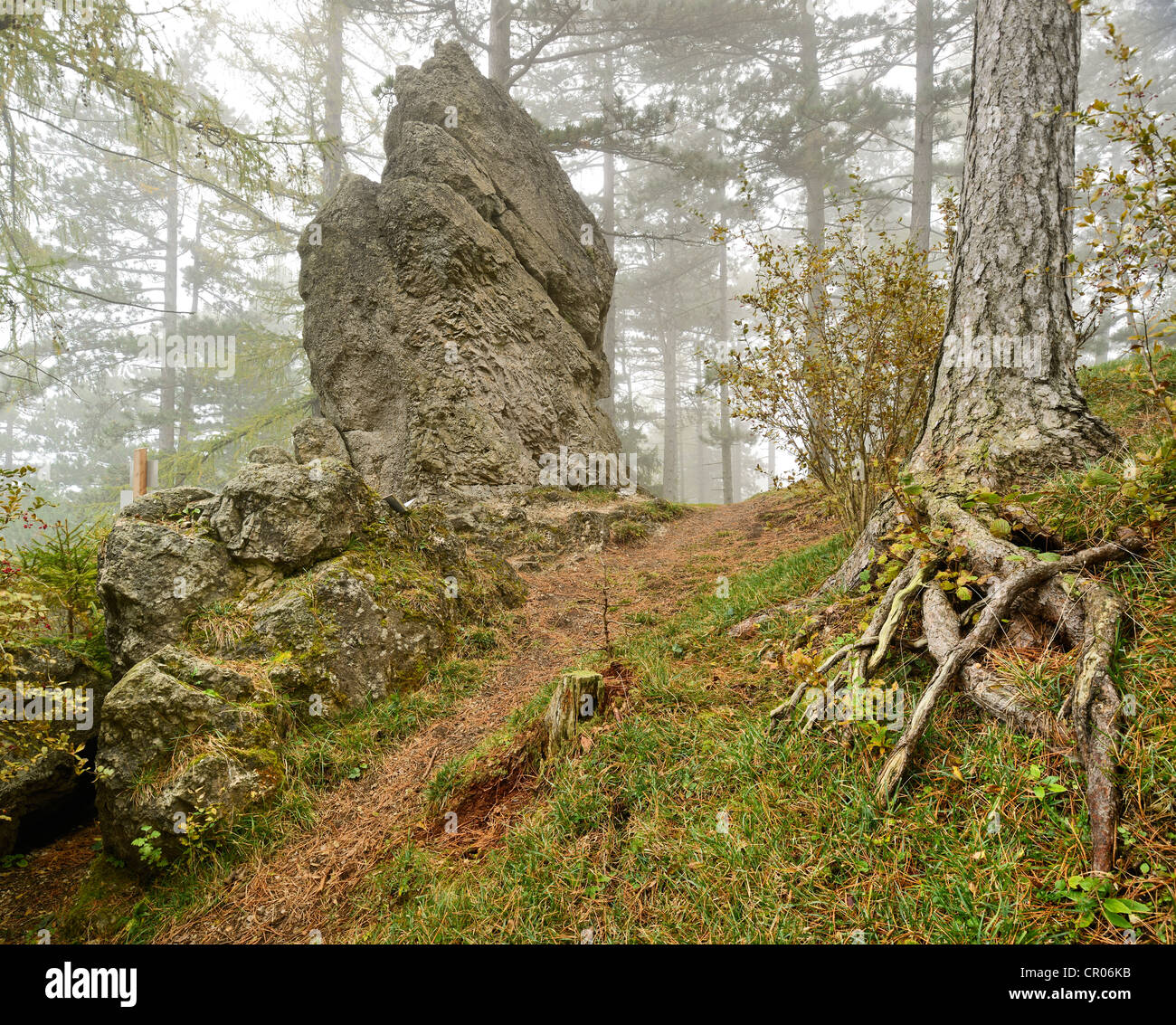 Druid stone, foggy weather, Noestach, Triestingtal valley, Lower Austria, Austria, Europe Stock Photo