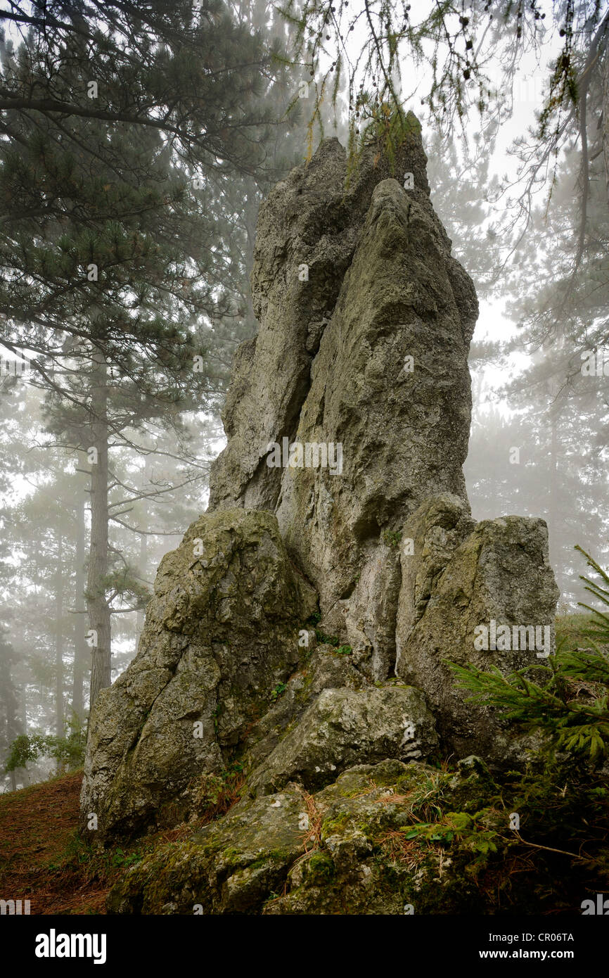 Druid stone in fog, Noestach, Triestingtal valley, Lower Austria, Austria, Europe Stock Photo