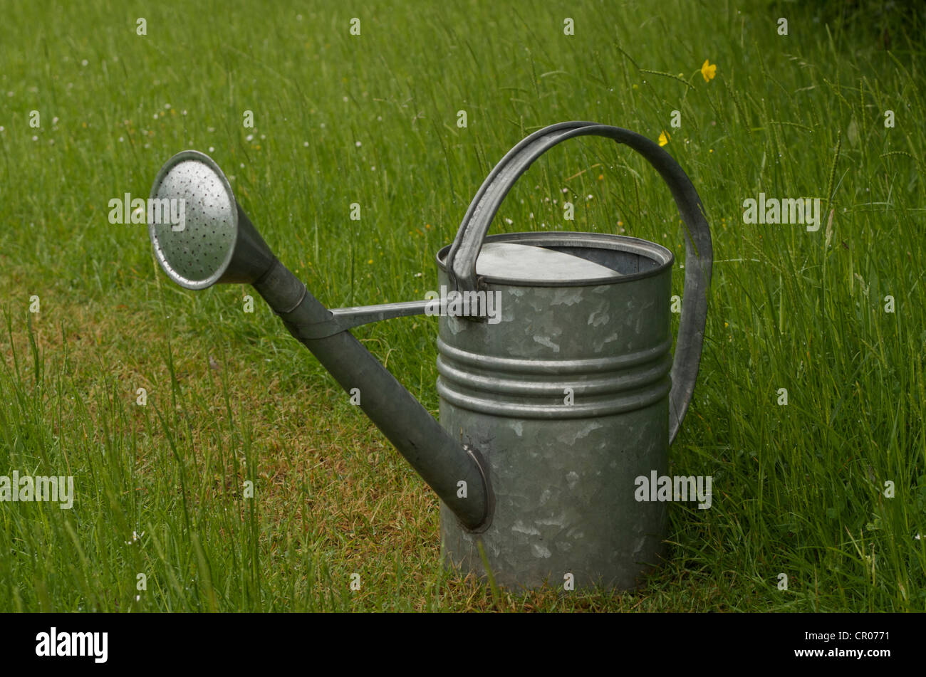 An aluminium watering can stands amongst long meadow grass Stock Photo