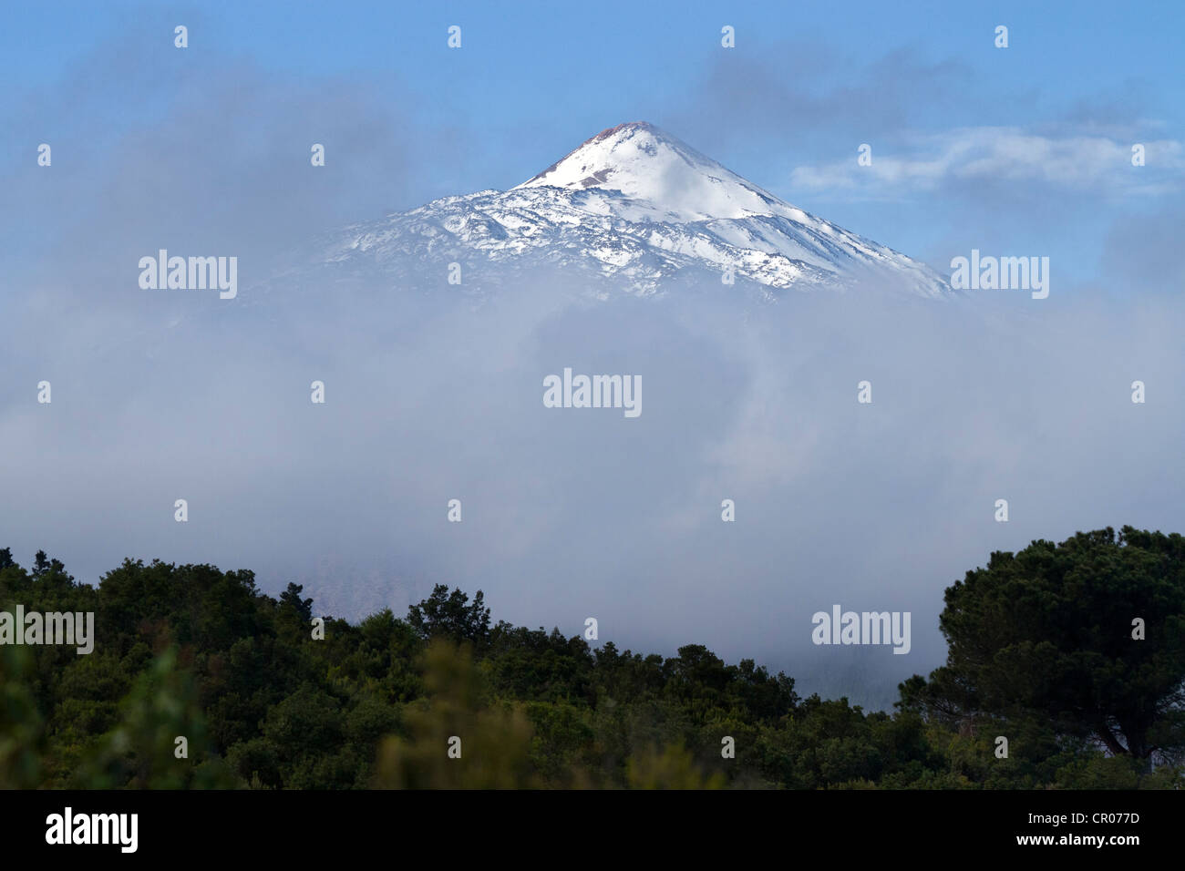 View of the Pico del Teide mountain above the clouds, Tenerife, Canary Islands, Spain, Europe Stock Photo