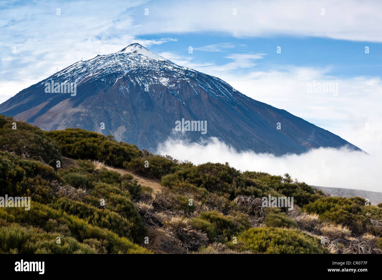 View of the Pico del Teide mountain, Tenerife, Canary Islands, Spain, Europe Stock Photo